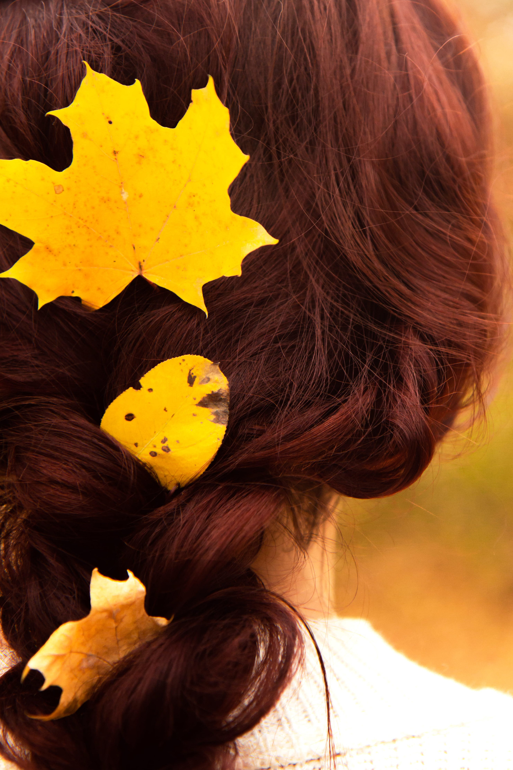Autumn woman. Young woman with yellow autumn leaves in red hair. Beautiful girl walking outdoors in autumn. Back view. No face