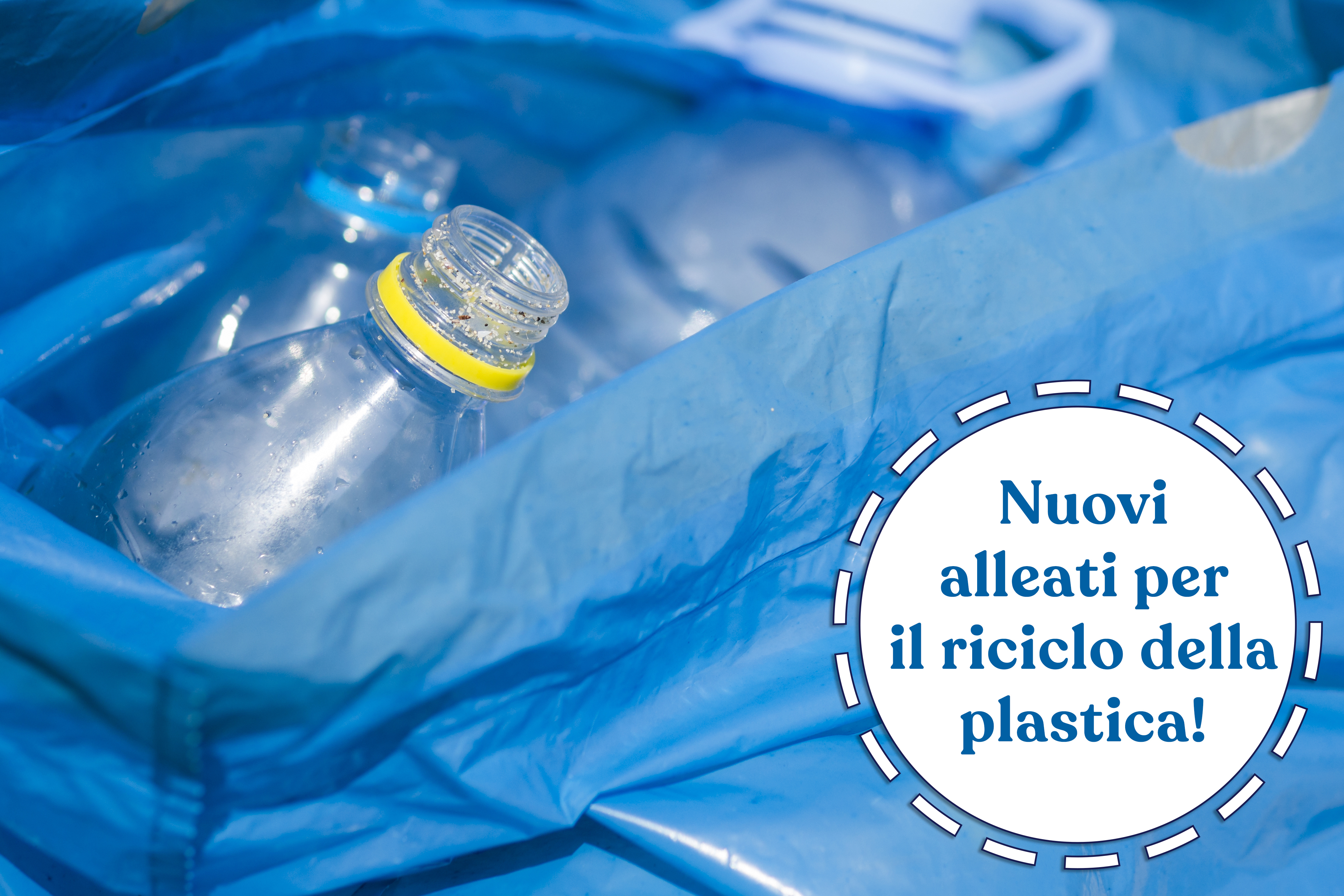 PETasi e MHETasi: nuovi alleati per il riciclo chimico della plastica